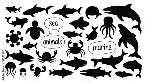 Black silhouettes of various sea animals and marine life on white background