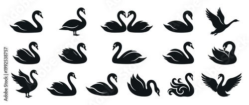 Black swan silhouettes vector collection showcasing various elegant poses and stylized designs, perfect for nature, beauty, and love-themed projects.
