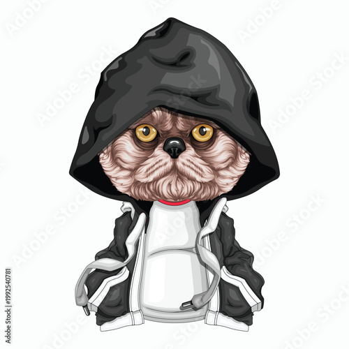 Cuadro en lienzo cute cat in stormtrooper helmet vector illustration flat design