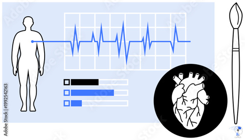 Cardiovascular health, medical analysis, diagnostics, patient monitoring, heartbeat measurement, anatomy education. ECG pattern with heart diagram and human silhouette. Cardiovascular health