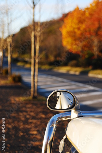愛車と紅葉のコラボレーション