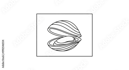 Open Clam Shell with Pearl Inside, Vector Illustration