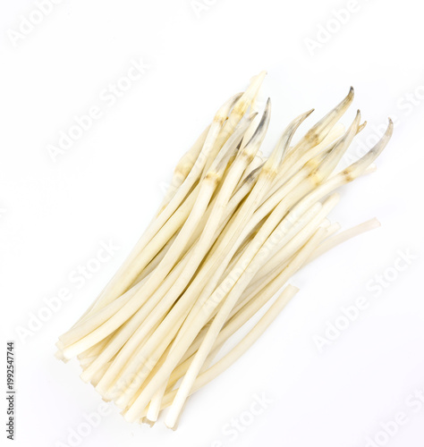 Freshly Picked Lotus Root Vegetable Slices from Honghu Lake - Healthy Asian Cooking Ingredient