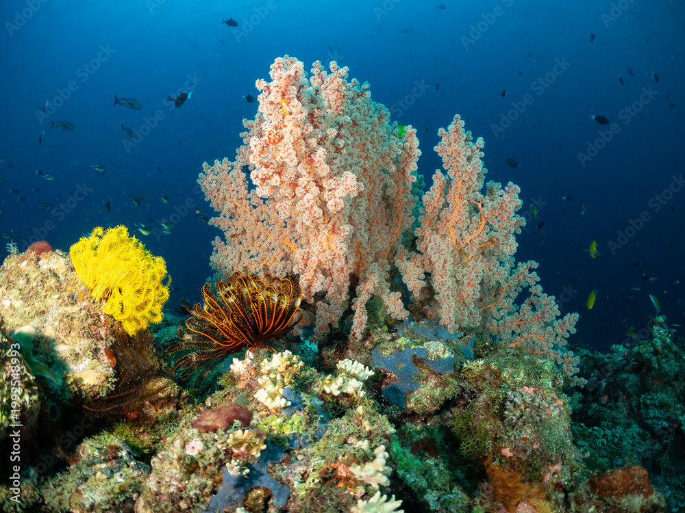 Fototapeta premium A vibrant coral reef ecosystem teeming with life, featuring a large orange soft coral, a bright yellow crinoid, and various small fish swimming in the