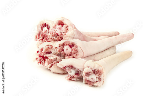 Fresh Raw Pig Tails Pork Cuts Isolated on White Background for Cooking