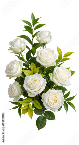 A bouquet of white roses with green leaves