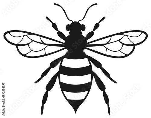 Stylized silhouette of a bee with striped abdomen and detailed wings in black and white