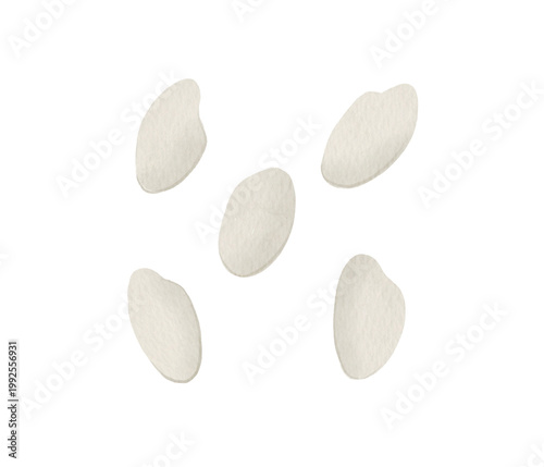 白米の水彩イラスト - 5粒の米粒300dpi