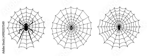 Spider web set with black line art on white background featuring delicate web, geometric pattern, nature with minimalism and elegance