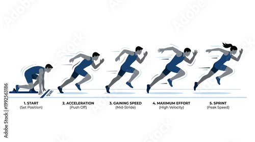 Illustration of a runner's progression through different stages of a sprint race