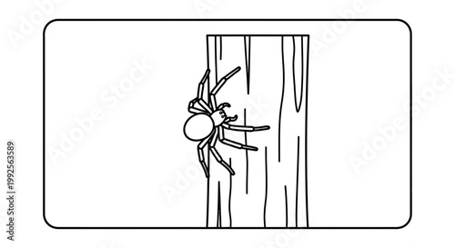 Close-up of a spider on a wooden surface, black and white line art illustration