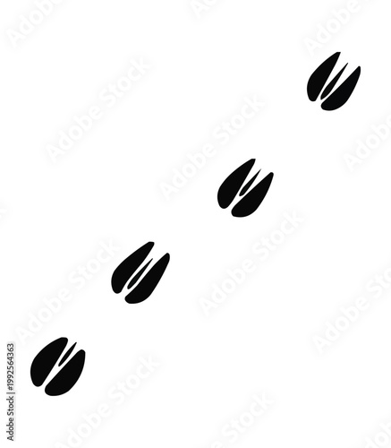 horse donkey elongated hoof prints trail