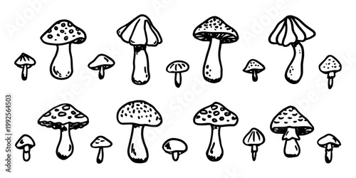 Hand drawn mushroom doodle set Botanical illustration Cute autumn mushroom Healthy eco food Organic vegetarian food For stickers, greeting card, design, print, packaging, decor, kids books
