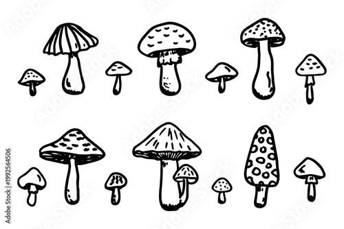 Hand drawn mushroom doodle set Botanical illustration Cute autumn mushroom Healthy eco food Organic vegetarian food For stickers, greeting card, design, print, packaging, decor, kids books