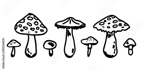 Hand drawn mushroom doodle set Botanical illustration Cute autumn mushroom Healthy eco food Organic vegetarian food For stickers, greeting card, design, print, packaging, decor, kids books