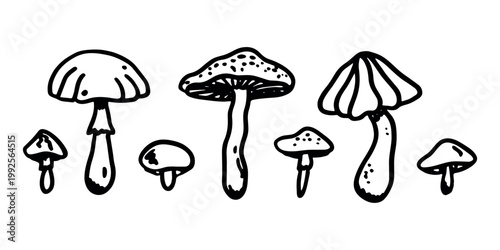 Hand drawn mushroom doodle set Botanical illustration Cute autumn mushroom Healthy eco food Organic vegetarian food For stickers, greeting card, design, print, packaging, decor, kids books