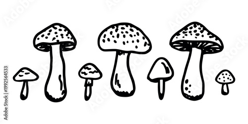 Hand drawn mushroom doodle set Botanical illustration Cute autumn mushroom Healthy eco food Organic vegetarian food For stickers, greeting card, design, print, packaging, decor, kids books