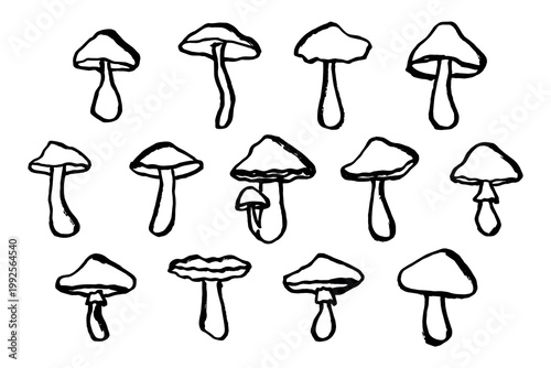 Hand drawn mushroom doodle set Botanical illustration Cute autumn mushroom Healthy eco food Organic vegetarian food For stickers, greeting card, design, print, packaging, decor, kids books