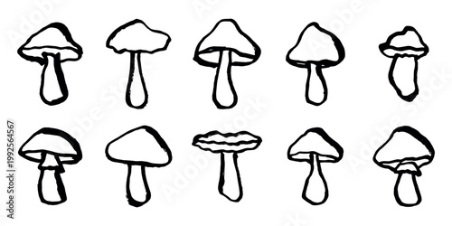 Hand drawn mushroom doodle set Botanical illustration Cute autumn mushroom Healthy eco food Organic vegetarian food For stickers, greeting card, design, print, packaging, decor, kids books