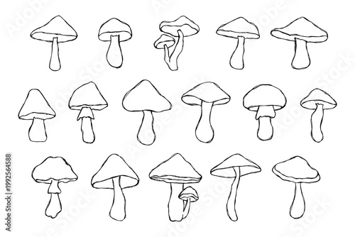 Hand drawn mushroom doodle set Botanical illustration Cute autumn mushroom Healthy eco food Organic vegetarian food For stickers, greeting card, design, print, packaging, decor, kids books