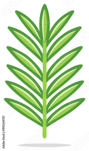 Green Fiddlehead Fern Unfurling with Stylized Outline and Shadow