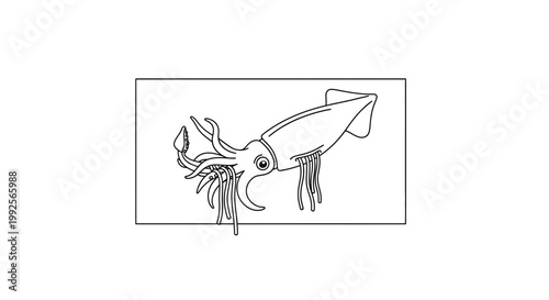 Squid Ink Drawing: A Stylized Squid Releasing Ink, Isolated on White Background