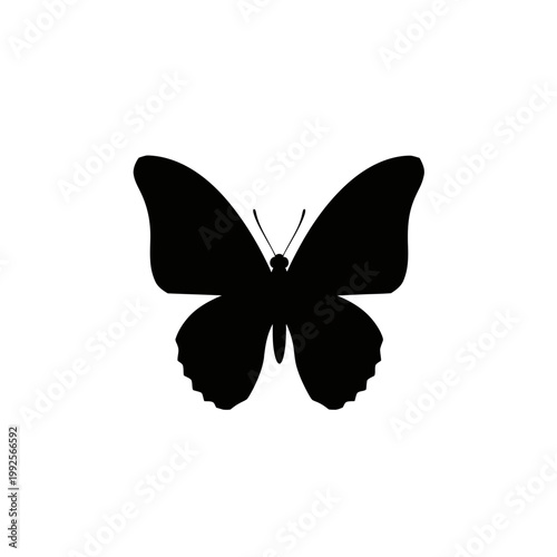 Black Butterfly Silhouette