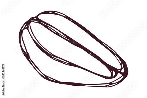 Hand drawn fresh roasted coffee bean Arabica robusta seed doodle Single element for print, web, design, decor