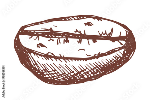 Hand drawn fresh roasted coffee bean Arabica robusta seed doodle Single element for print, web, design, decor
