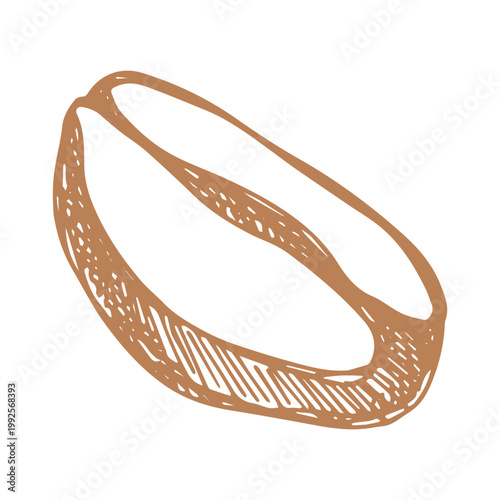 Hand drawn fresh roasted coffee bean Arabica robusta seed doodle Single element for print, web, design, decor