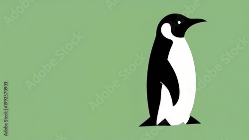 Animated minimalist penguin walking on green background