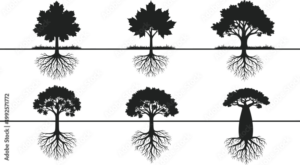 Fototapeta premium Set of black tree silhouettes with visible roots