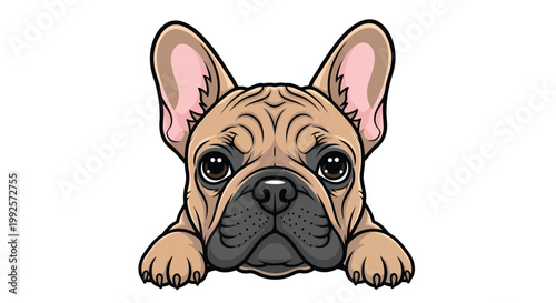 French Bulldog vector illustration, cute peeking fawn Frenchie dog, pet mascot head icon