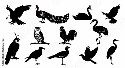 Simple vector set of bird silhouettes showing various flying and standing birds in nature