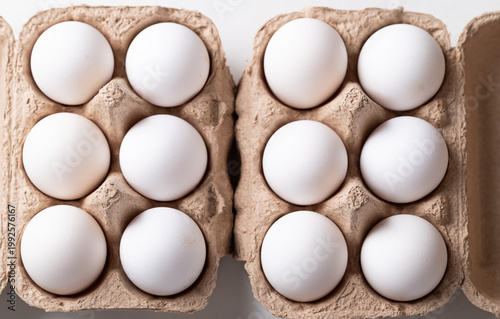 Canvas Print Organic white leghorn eggs from free range farm in egg carton, Top view
