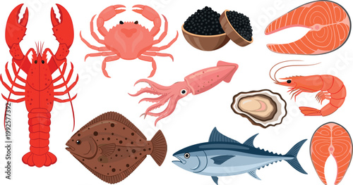 Fresh seafood assortment lobster crab fish caviar oyster shrimp squid illustrated collection