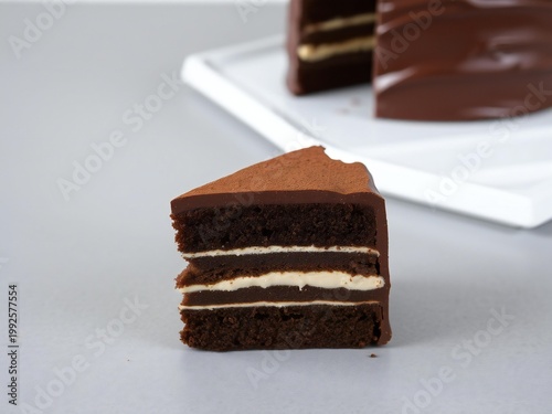 A slice of layered chocolate and caramel cake on a white surface