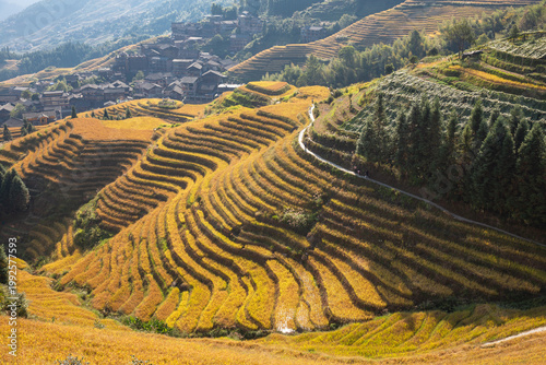 Terraced field in Longsheng Guilin China