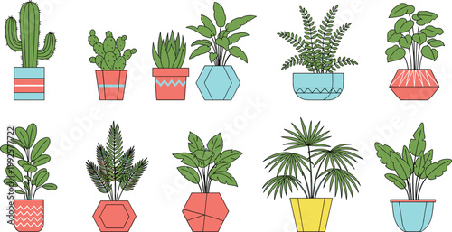 Potted Plant Vector Collection Featuring Succulents, Cacti, Ferns, Tropical Leaves, and Decorative Geometric Pots