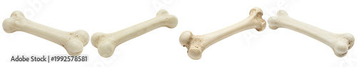 Foto Collection of dog bones for pets, isolated on a transparent background, ready for use in creative projects