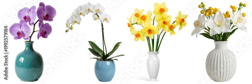 Obraz na płótnie Elegant collection of ornamental flower vases with beautiful blooming orchids, daffodils
