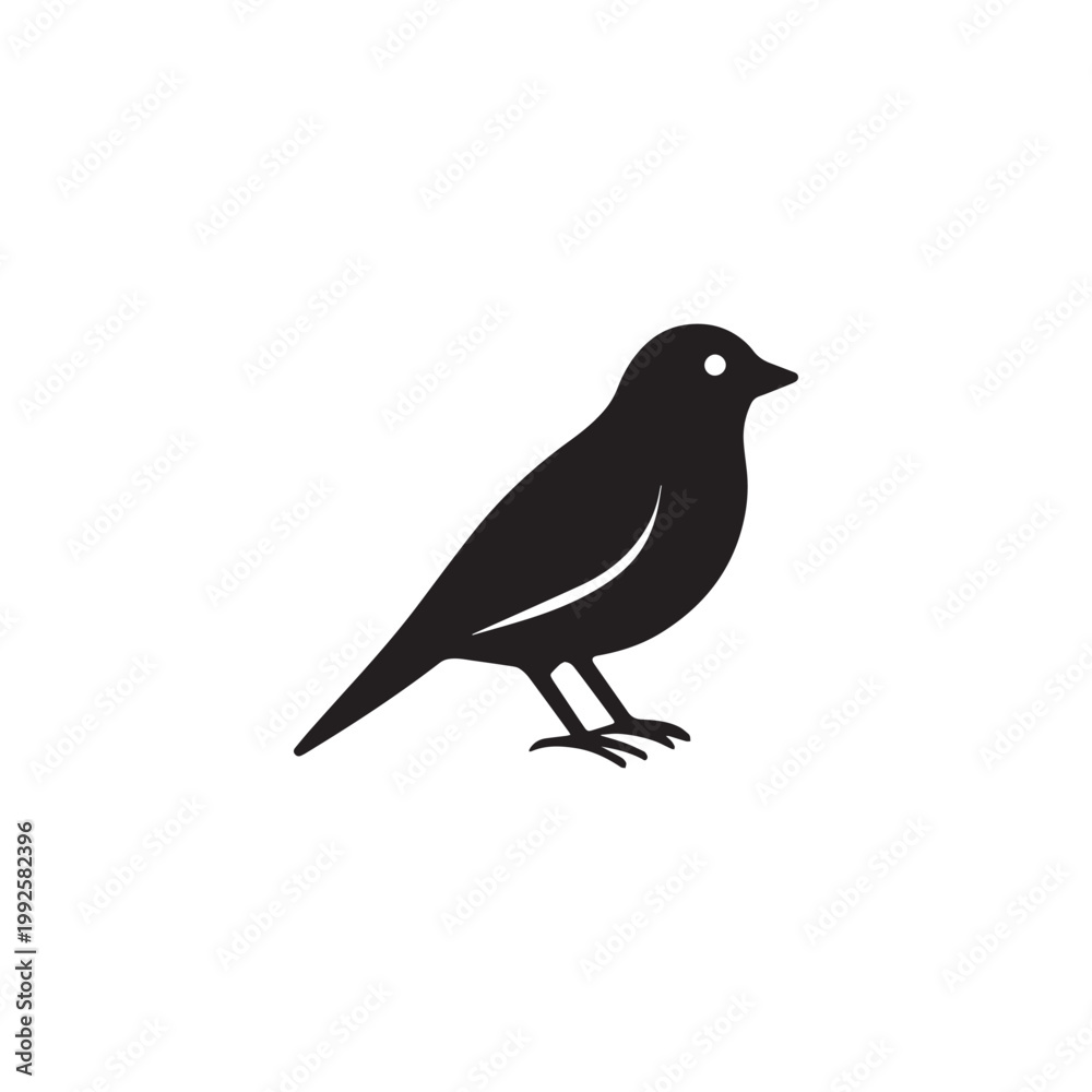 Fototapeta premium Fringilla teydea blue finch icon silhouette vector design art illustration