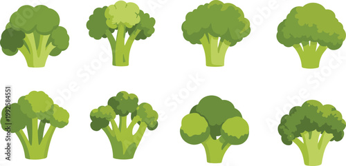 Flat broccoli vegetable set illustration, green organic food icons collection, healthy nutrition concept, fresh farm produce, vegan ingredient design vector