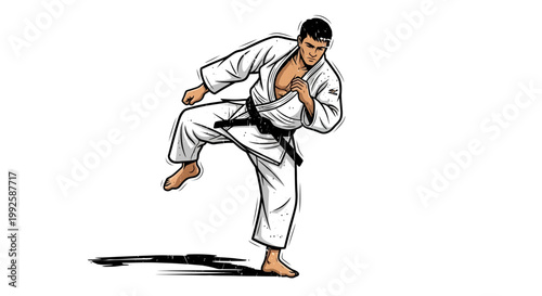 Martial arts fighter performing a karate kick with black belt