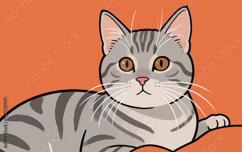 Cute gray cat resting on orange background with bright eyes looking directly at viewer during a sunny afternoon