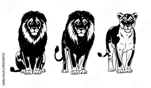 Canvas Print Watercolor lion family vector collection male lion and lioness wildlife set