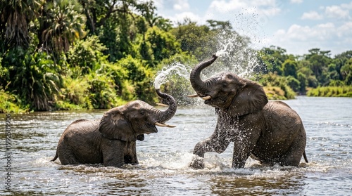 Wildlife in Natural Habitat with Untouched Nature and Animal Behavior Concept