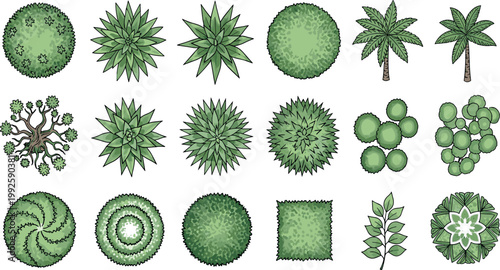 Top View Plant Vector Set Featuring Bushes Trees Palms and Garden Greenery for Landscape Design, Architecture Plans, Nature Illustration, and Outdoor Graphics Collection