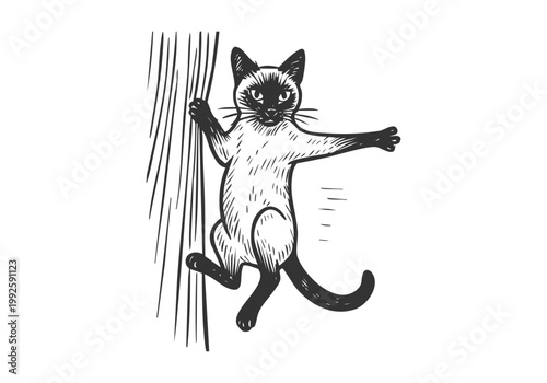 Siamese Cat hand drawn simple sketch vector illustration