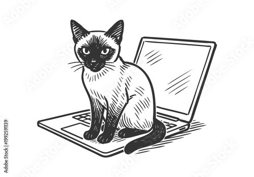 Siamese Cat hand drawn simple sketch vector illustration